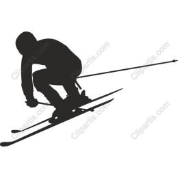 Dynamic Skiing