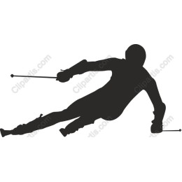 Dynamic Downhill Skier