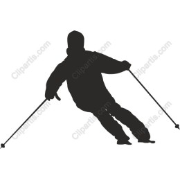 Dynamic Skier
