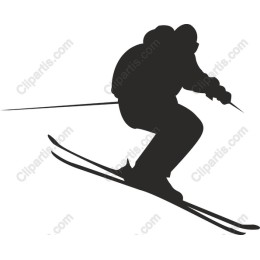 Dynamic Skier