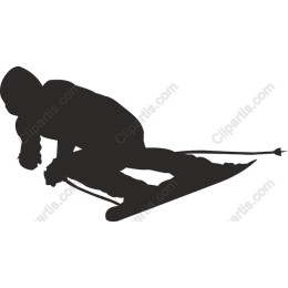 Dynamic Skier