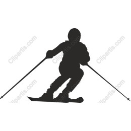 Dynamic Skier