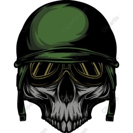Warrior Skull with Helmet