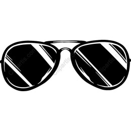 Chic Aviator Sunglasses