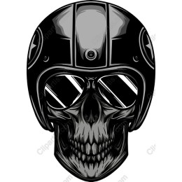 Helmeted Skull