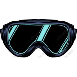 Sleek Goggles