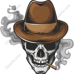 Stylish Skull with Fedora and Smoke