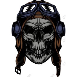Aviator Skull