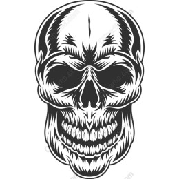 Bold Skull