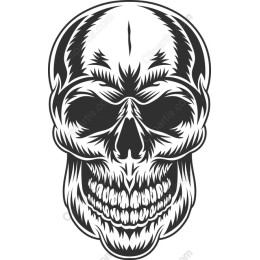 Edgy Skull