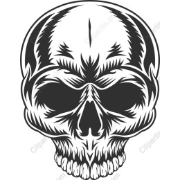 Black and White Skull