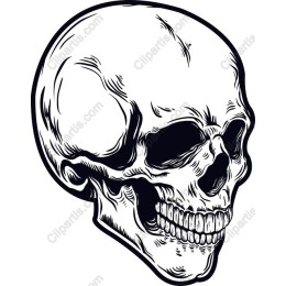Intricate Skull