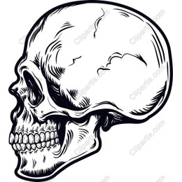 Vintage Skull work