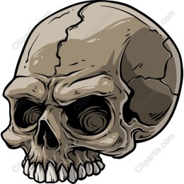 Skull