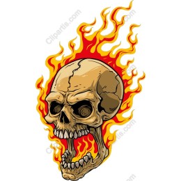 Fiery Skull
