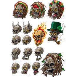 Skull Collection