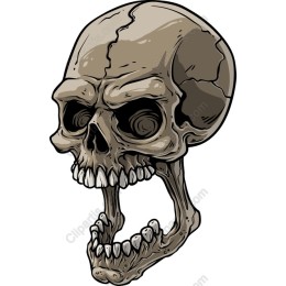 Intricate Skull