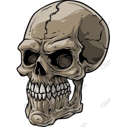 Intricate Skull