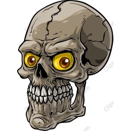 Vibrant Skull