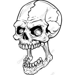 Hand-Drawn Skull