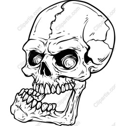 Intricate Skull