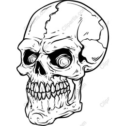Intricate Skull