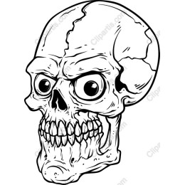 Hand-Drawn Skull