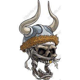 Fierce Viking Skull work
