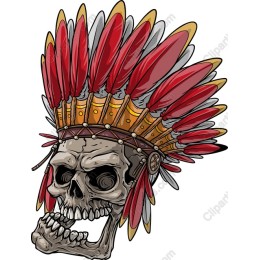 Feathered Skull Headdress