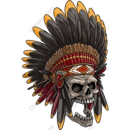Skull with Native American Headdress