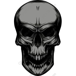 Premium Skull