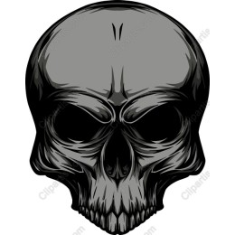 Skull - Edgy Illustrator