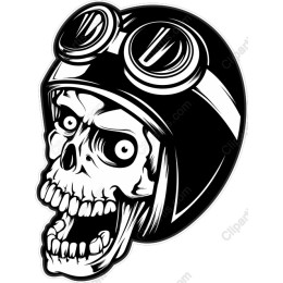 Vintage Skull Biker
