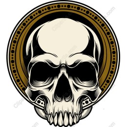 Elegant Skull