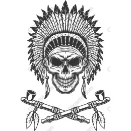 Majestic Skull with Native American Headdress