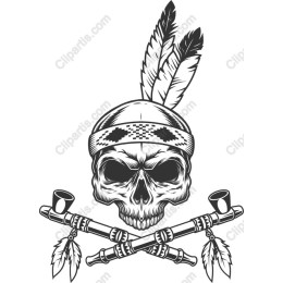 Native Spirit Skull