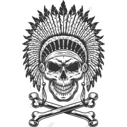 Skull with Indian Headdress