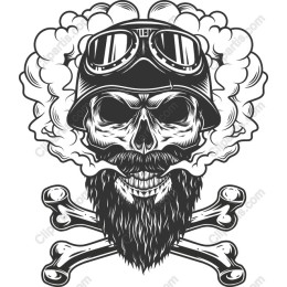 Rebel Skull Aviator