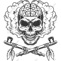 Edgy Skull with Brain