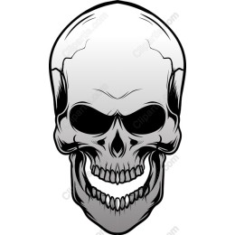 Dark Elegance Skull