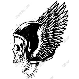 Winged Skull Helmet
