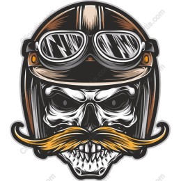 Vintage Aviator Skull