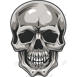 Premium Skull