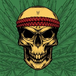 Warrior Skull