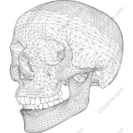 Geometric Skull Wireframe