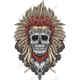 Skull with Native American Headdress