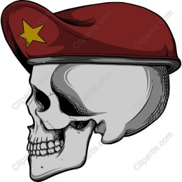 Rebel Skull with Beret