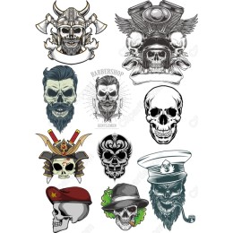 Ultimate Skull Collection