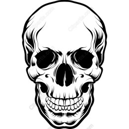 Skull work - Detailed Black and White Skull