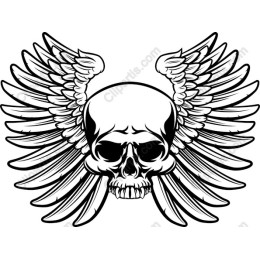 Winged Skull